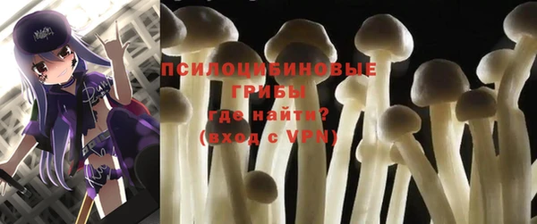 альфа пвп Горно-Алтайск