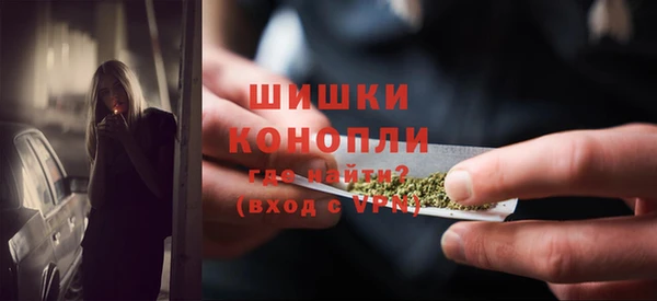 гидра Горнозаводск