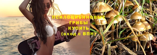 гидра Горнозаводск