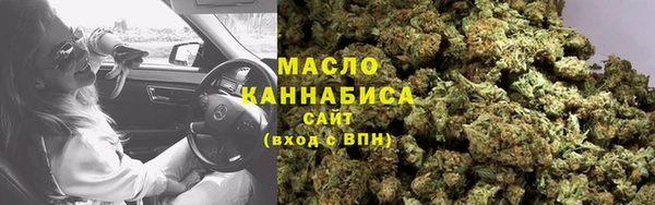 гидра Горнозаводск