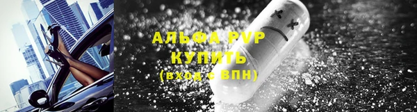 гидра Горнозаводск