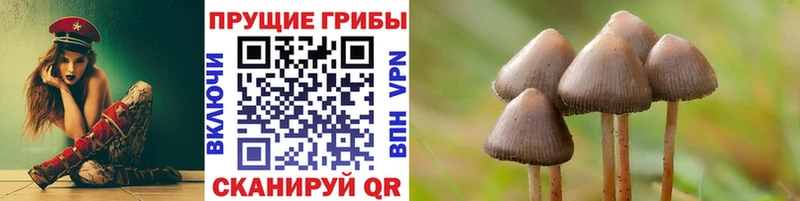 Псилоцибиновые грибы Cubensis  Брянск 
